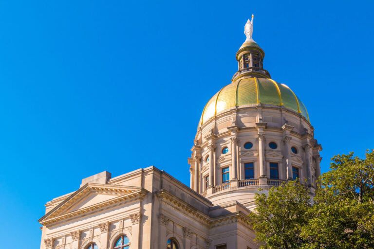 Read more about the article Georgia Must Ban ESG Investing to Protect State Employee and Teacher Pensions
